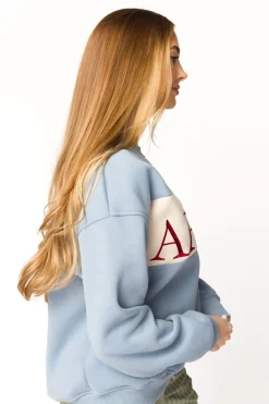 Online Worth Collective Après Colorblocked Crewneck in Stone Blue