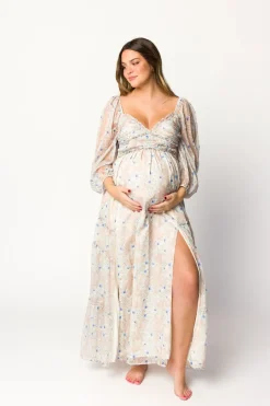 Hot Worth Collective Daphne Long Sleeve Maxi Dress in Beige/Blue Floral - Bump Friendly & I