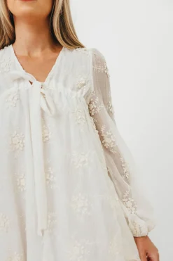 Fashion Worth Collective Erika Embroidered Long Sleeve Mini Dress in Ivory